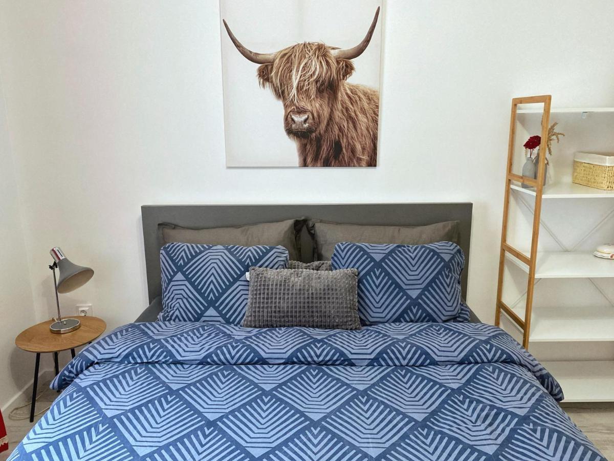 Highland Home - Cozy Apartments Near City Center Oradea Exteriör bild